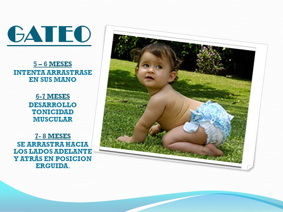 bebe 7 meses desarrollo psicomotor